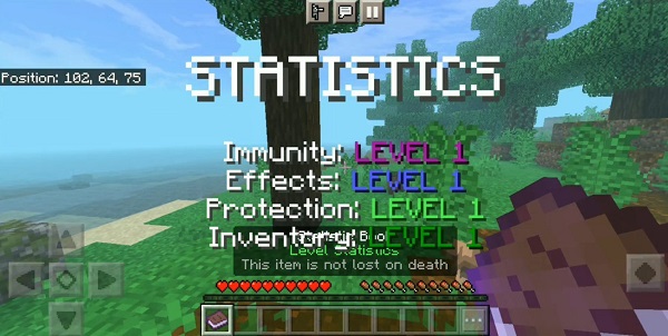 level statistics addon minecraft 2