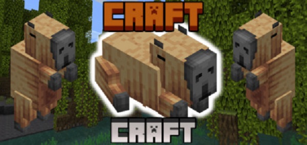 CapyCraft Addon 1.20 - Minecraft PE/Bedrock Mods