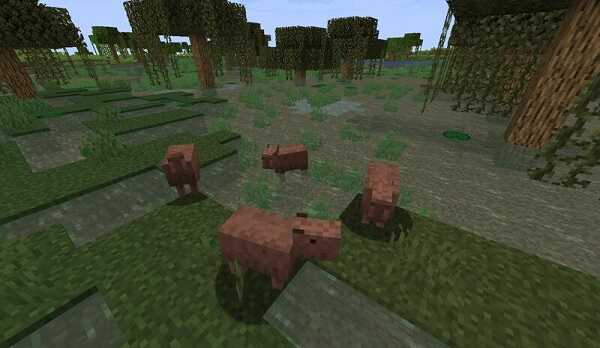 Capybara for Minecraft 1.19.1