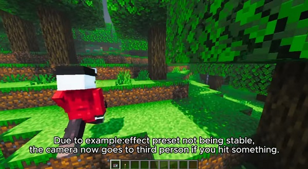 GoPro Perspective Addon minecraft