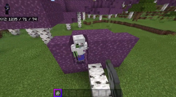 More Simple Structures Addon minecraft pe