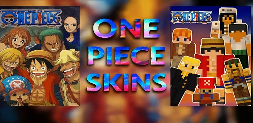 One Piece Skin