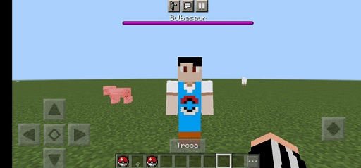 PokePixels Addon mcpe